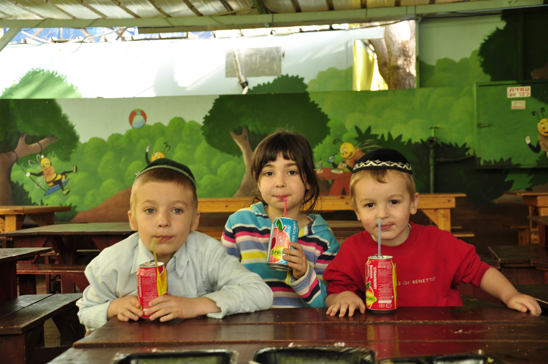 תמונה מהגלריה