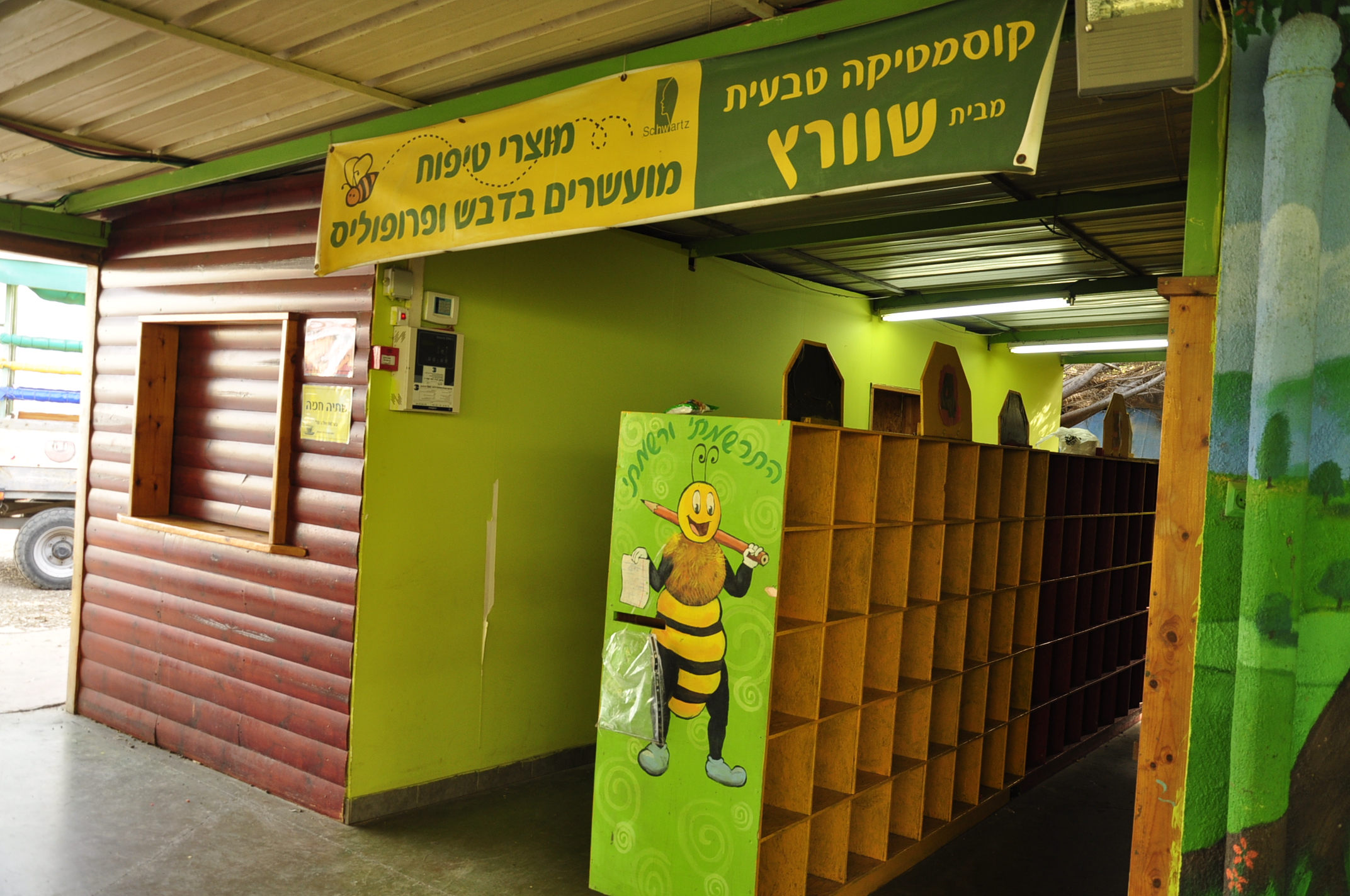 תמונה מהגלריה