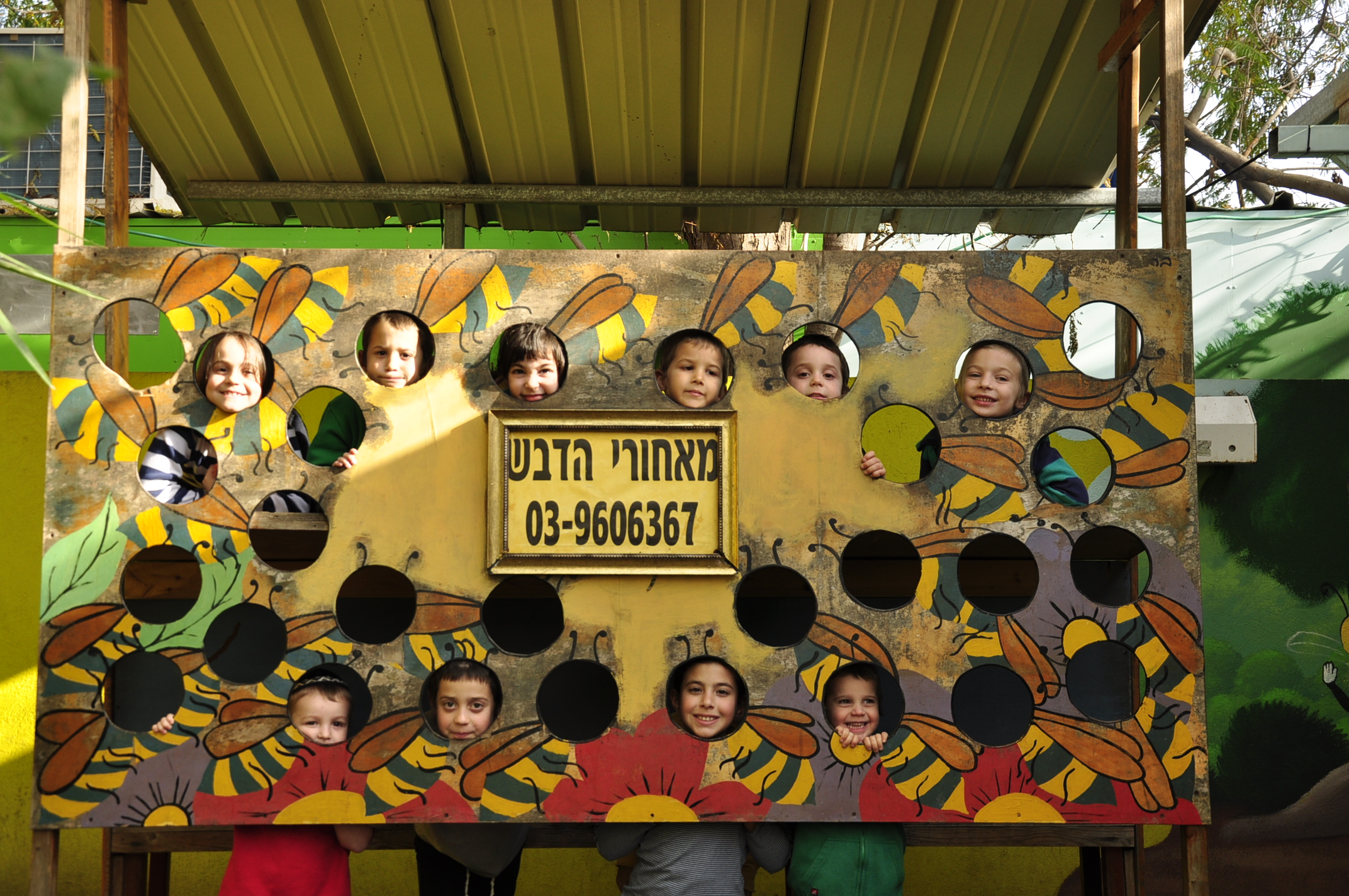 תמונה מהגלריה