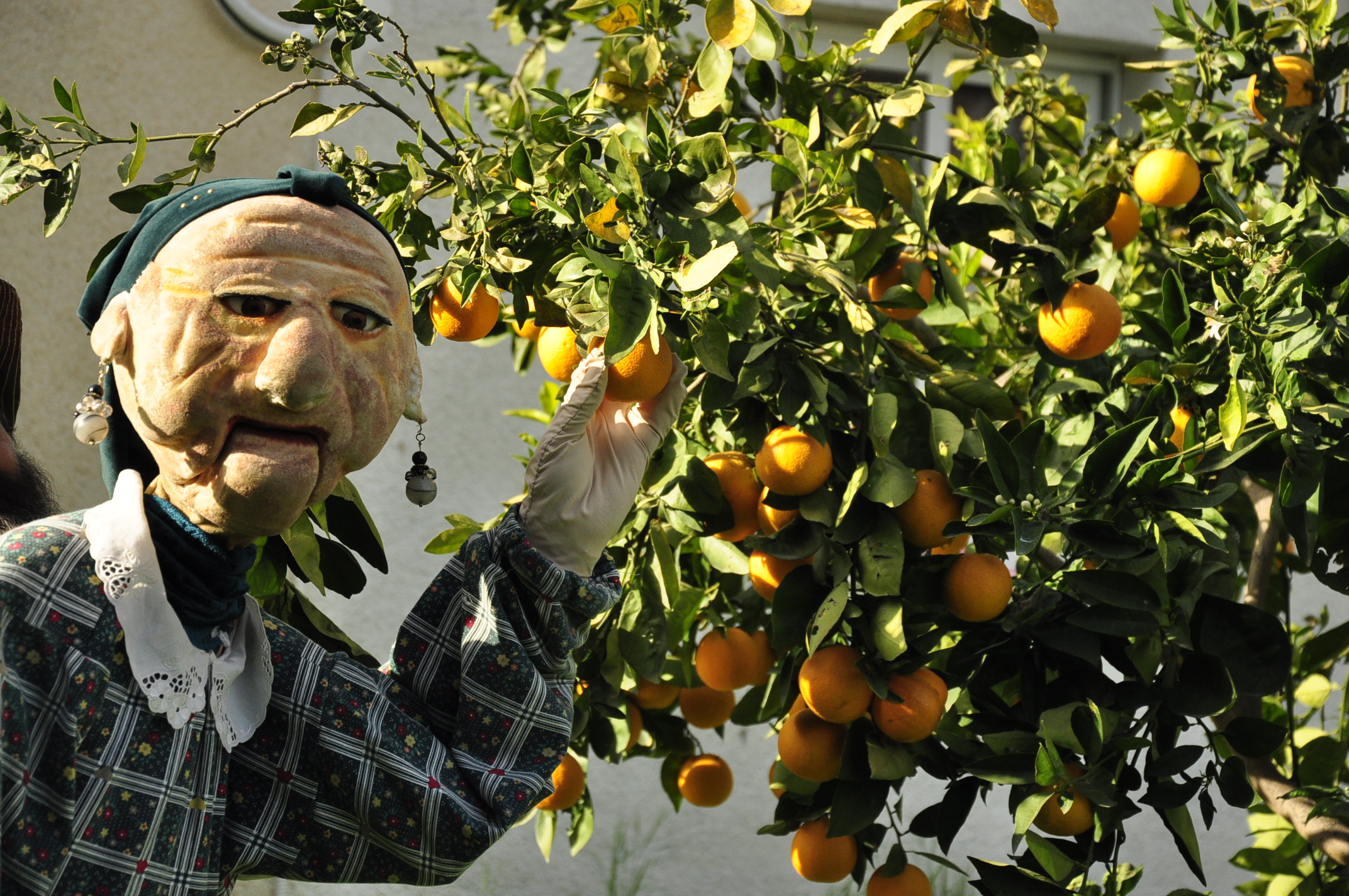 גלריית מאחורי הדבש – תמונה 74
