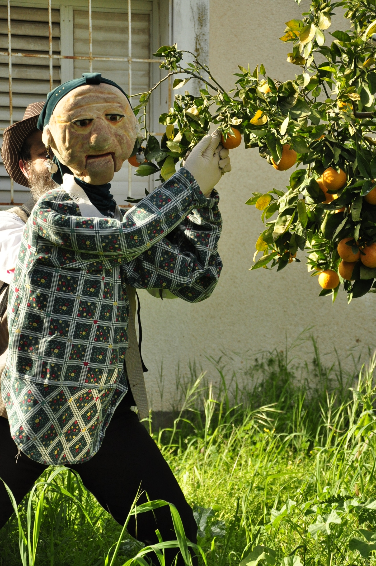 תמונה מהגלריה