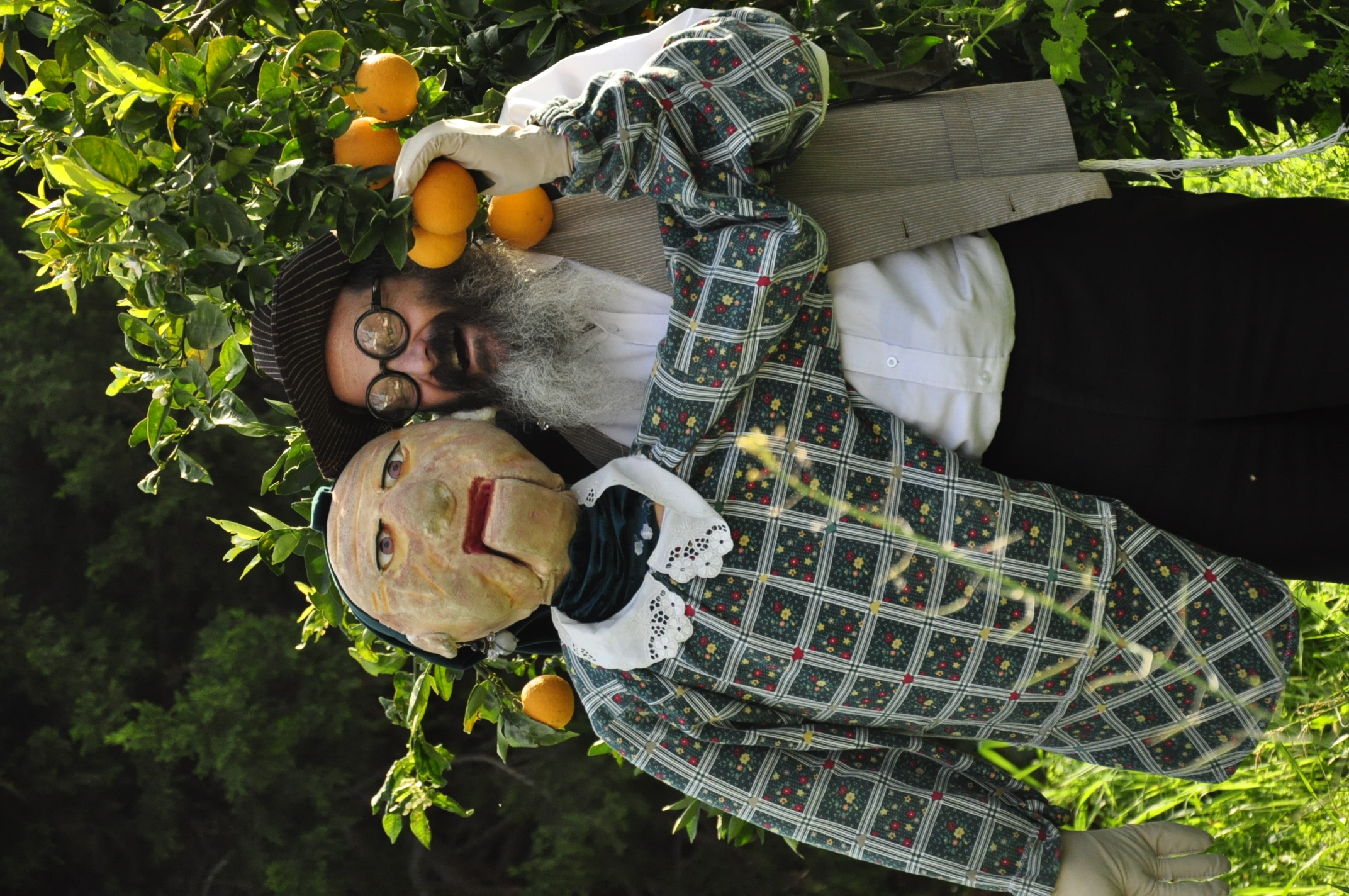 תמונה מהגלריה