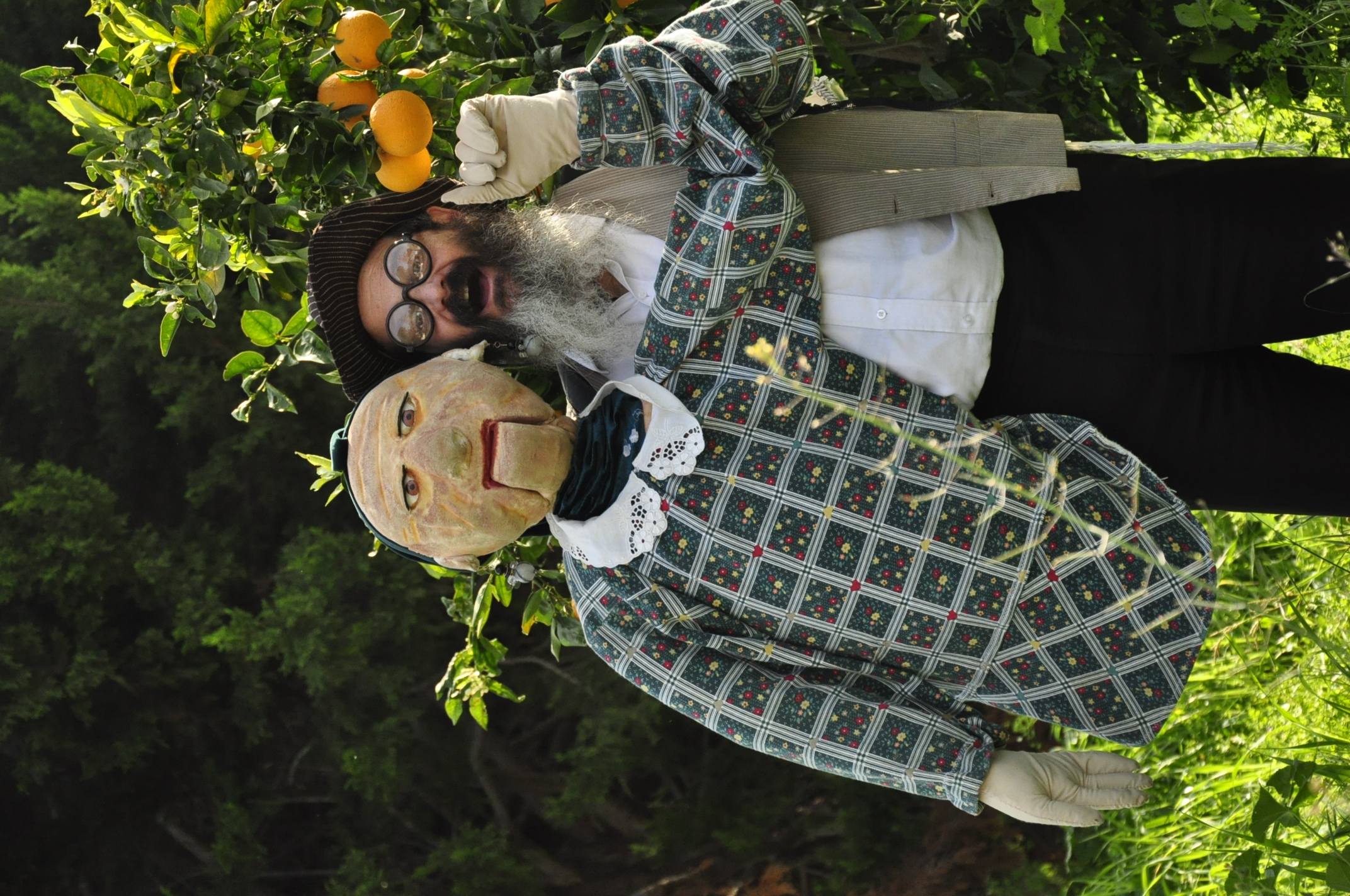 תמונה מהגלריה