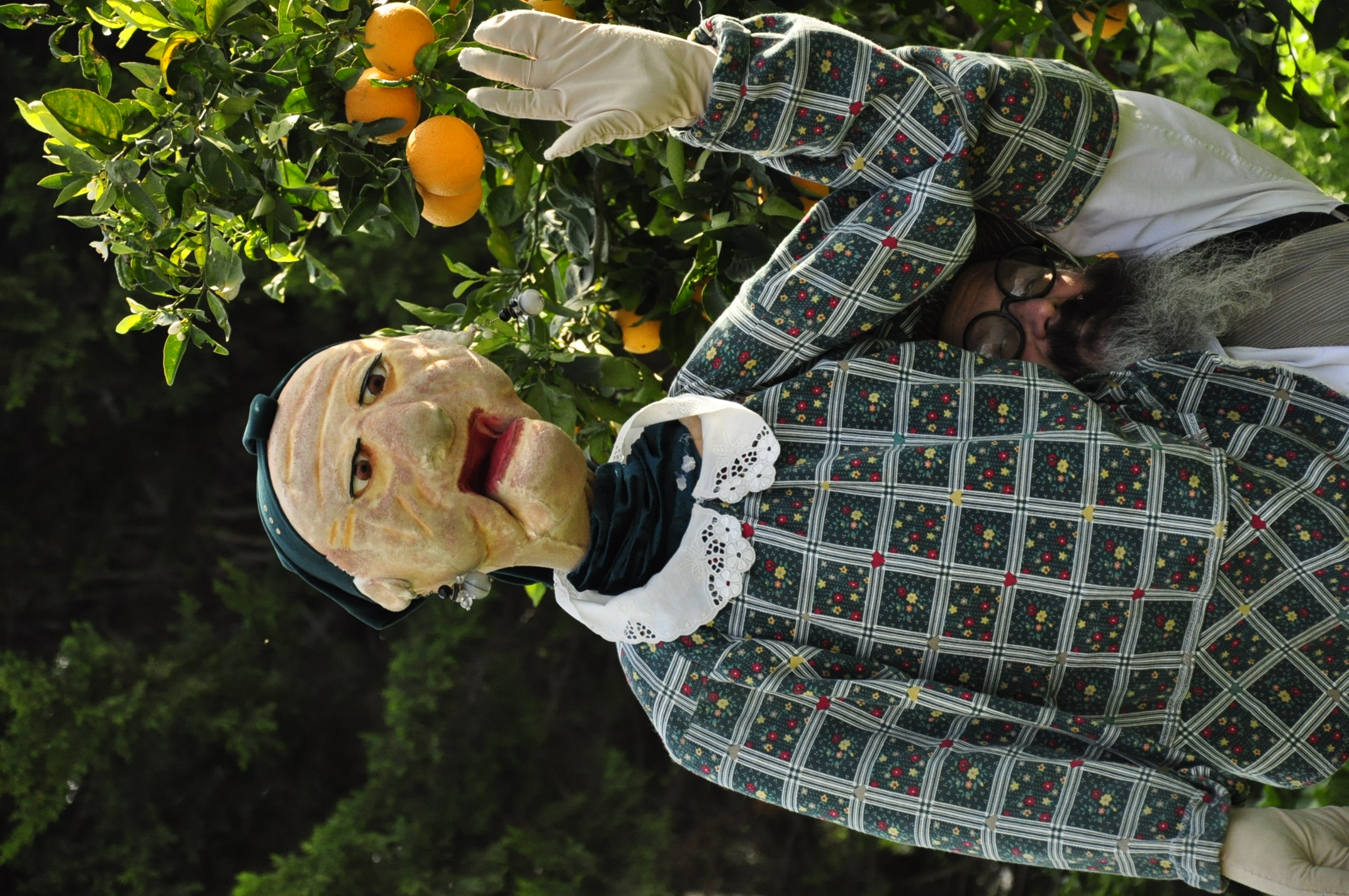 תמונה מהגלריה