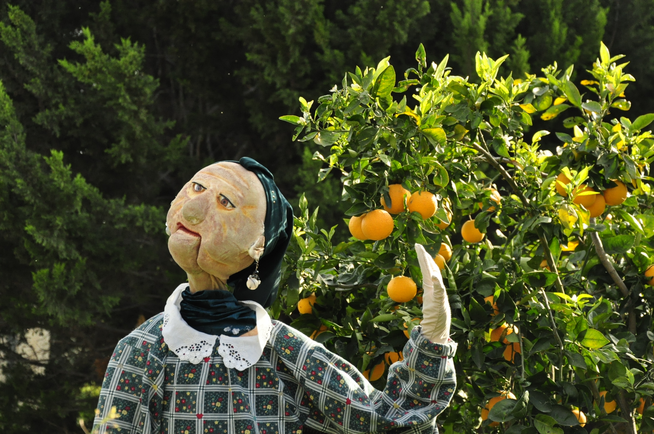 גלריית מאחורי הדבש – תמונה 107