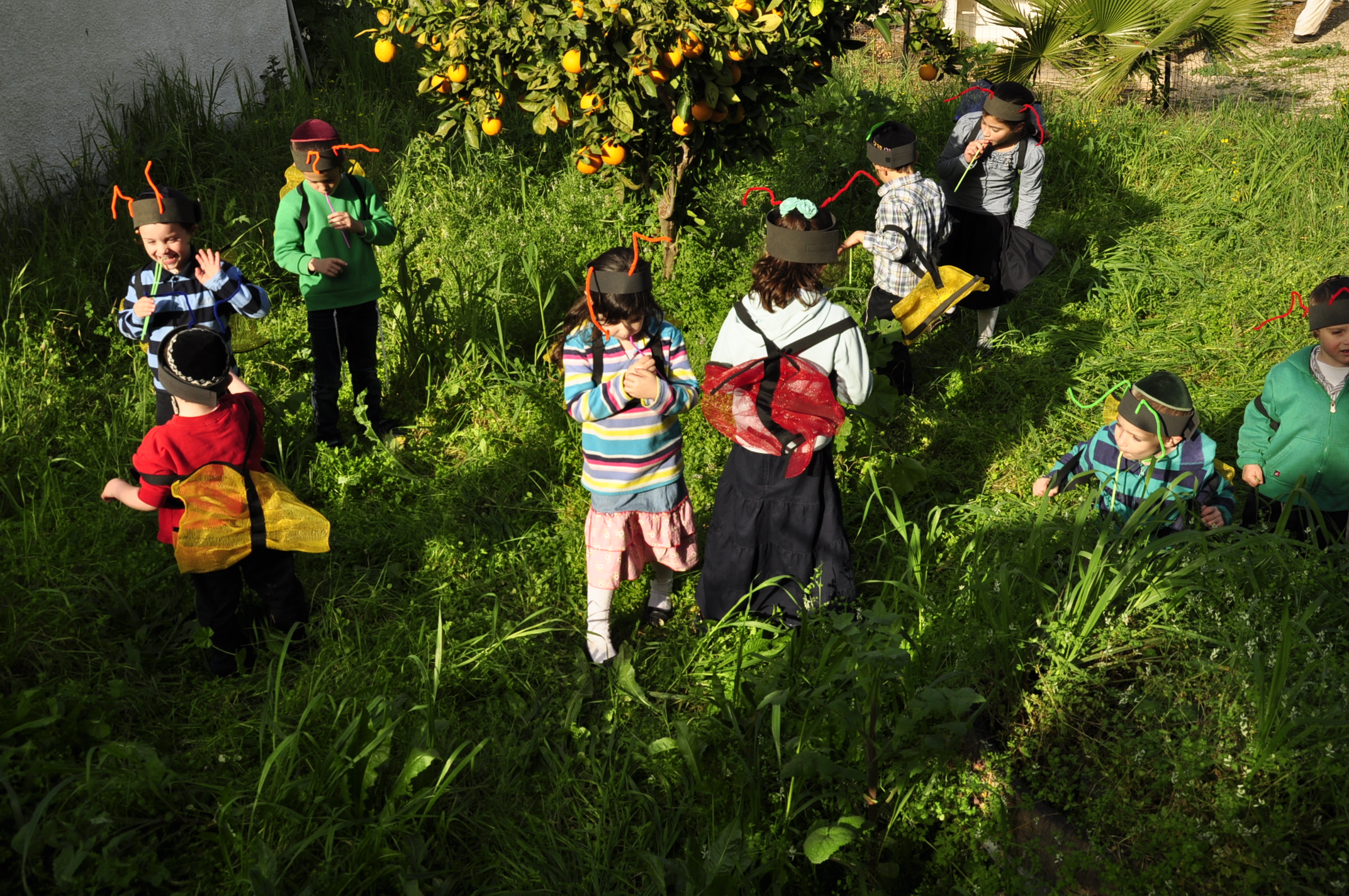 תמונה מהגלריה