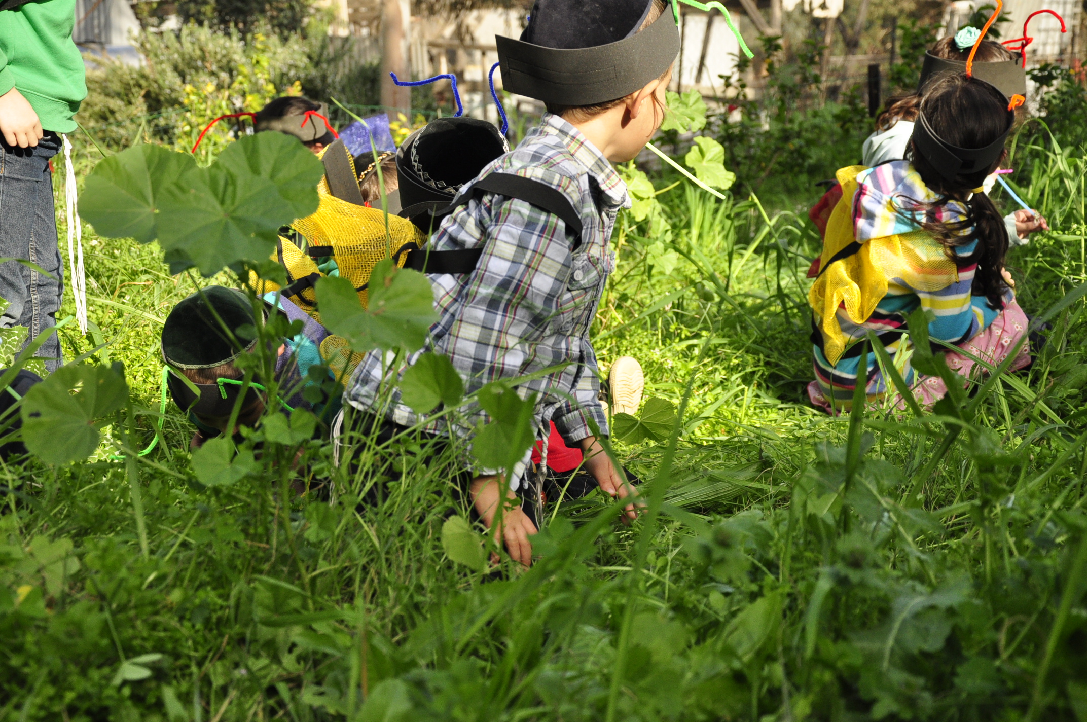 תמונה מהגלריה