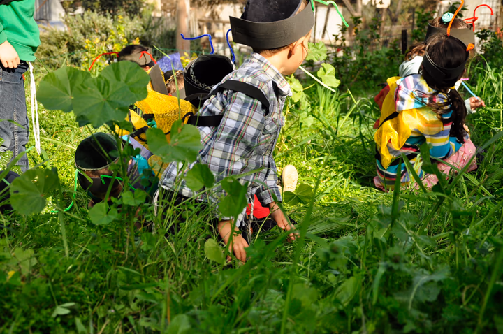 גלריית מאחורי הדבש – תמונה 48
