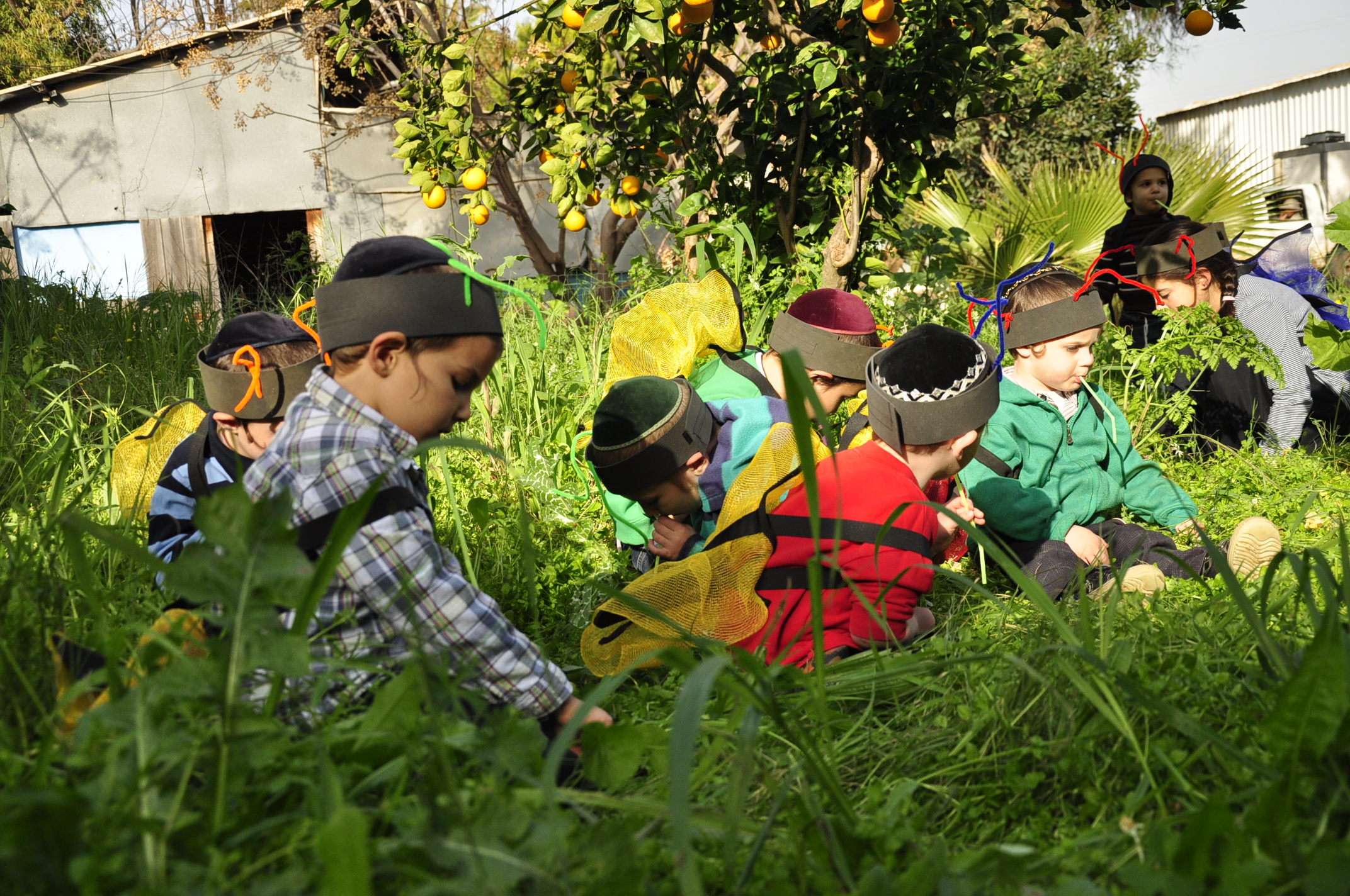 תמונה מהגלריה