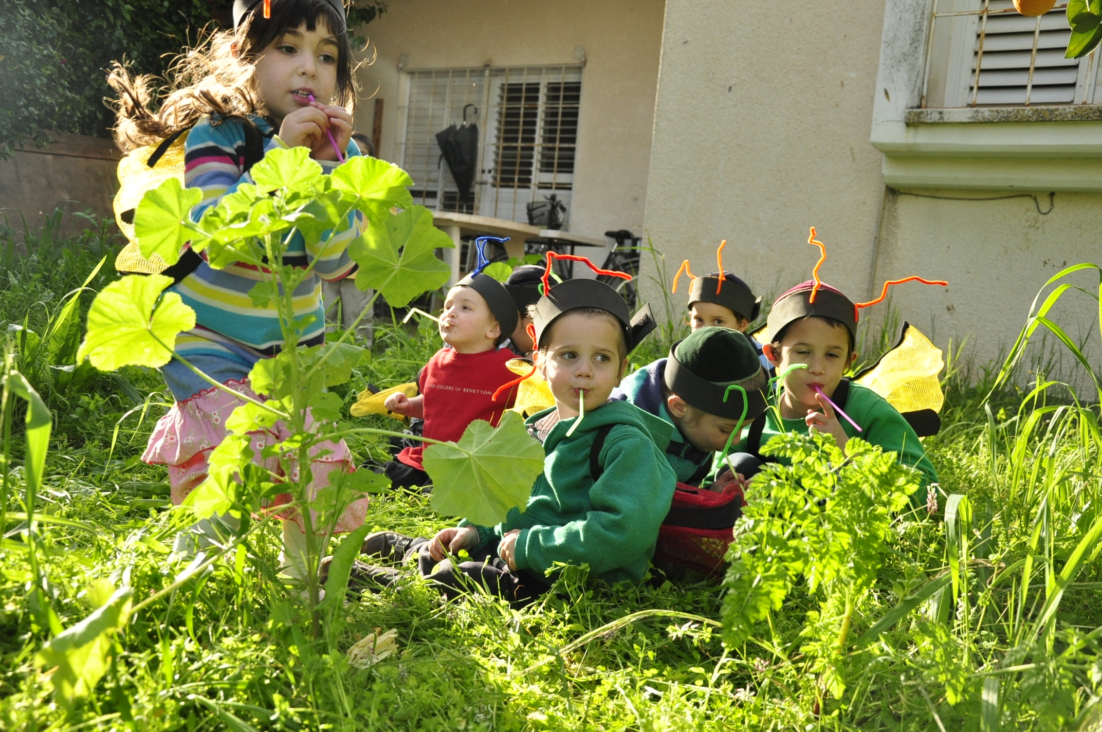 תמונה מהגלריה