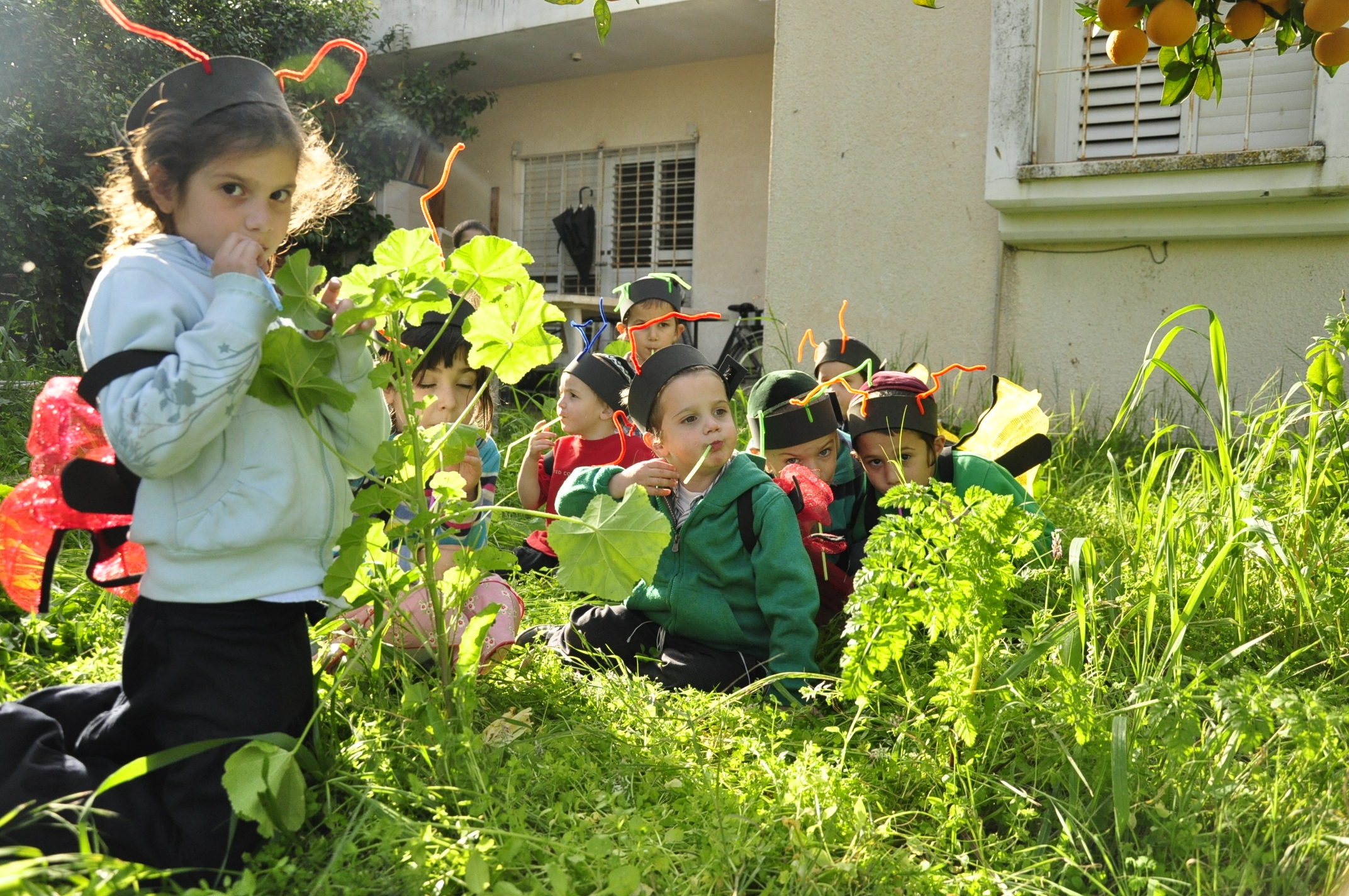 תמונה מהגלריה