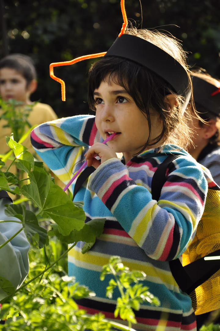 גלריית מאחורי הדבש – תמונה 76