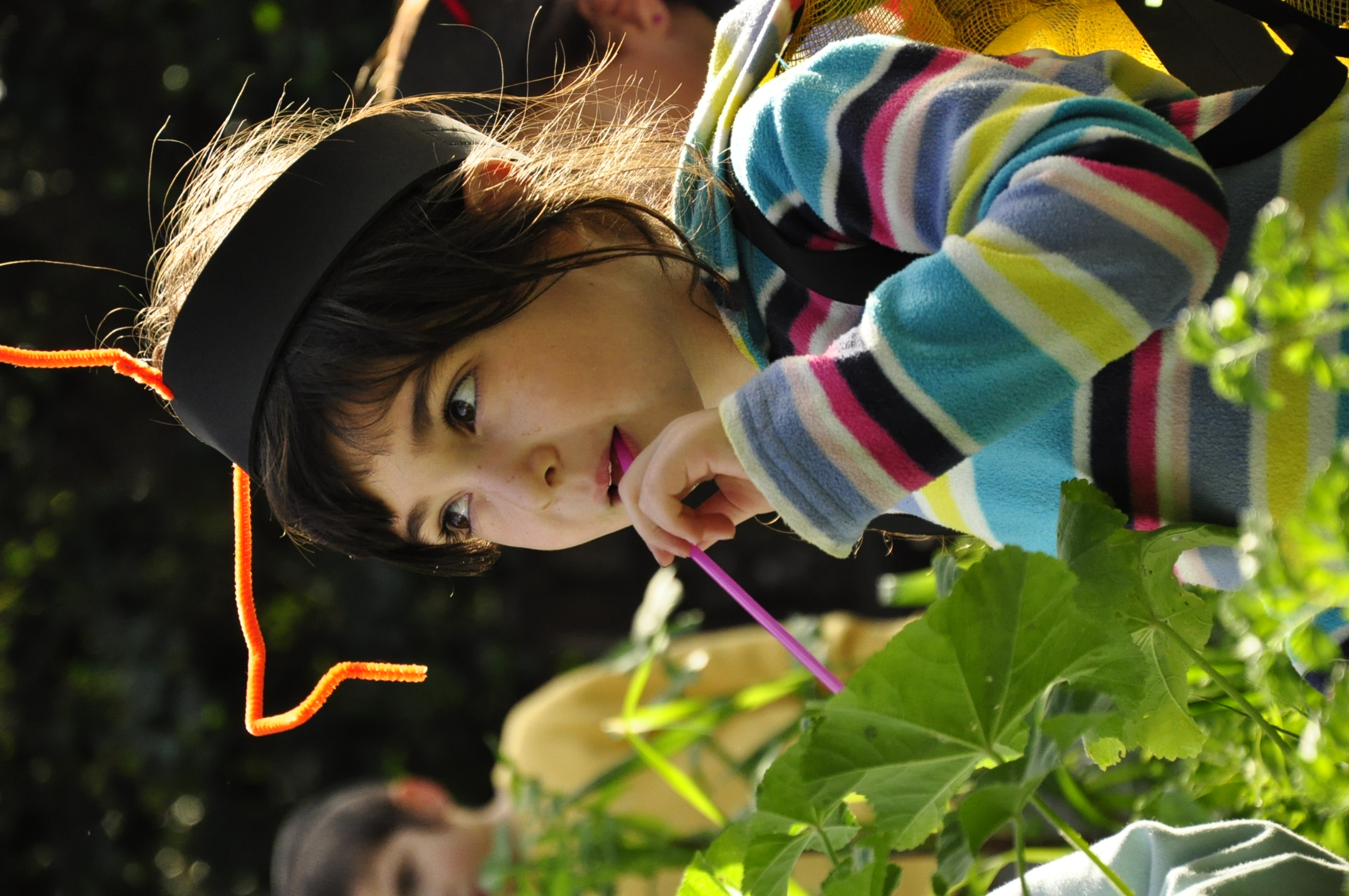 תמונה מהגלריה