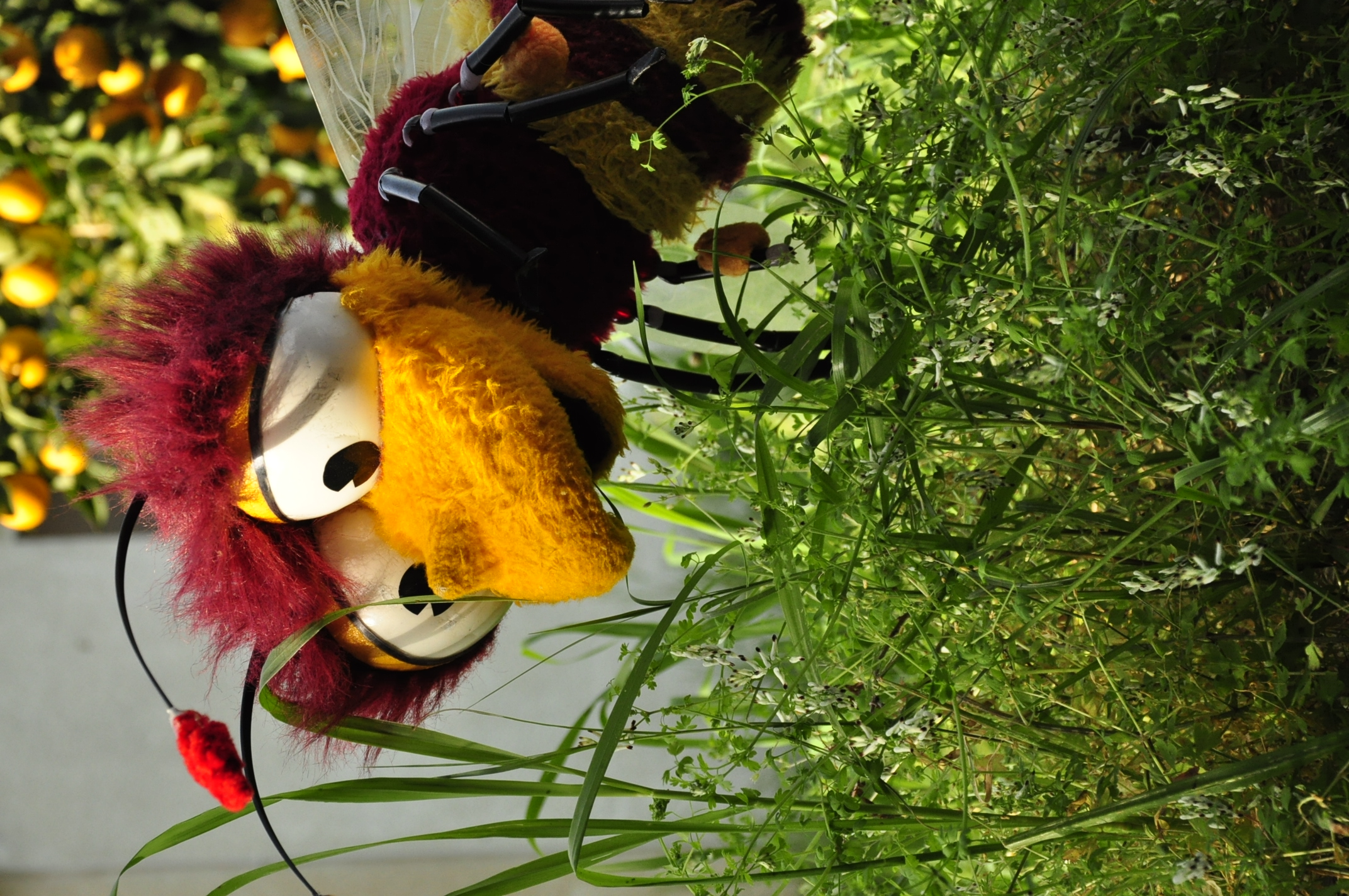 תמונה מהגלריה