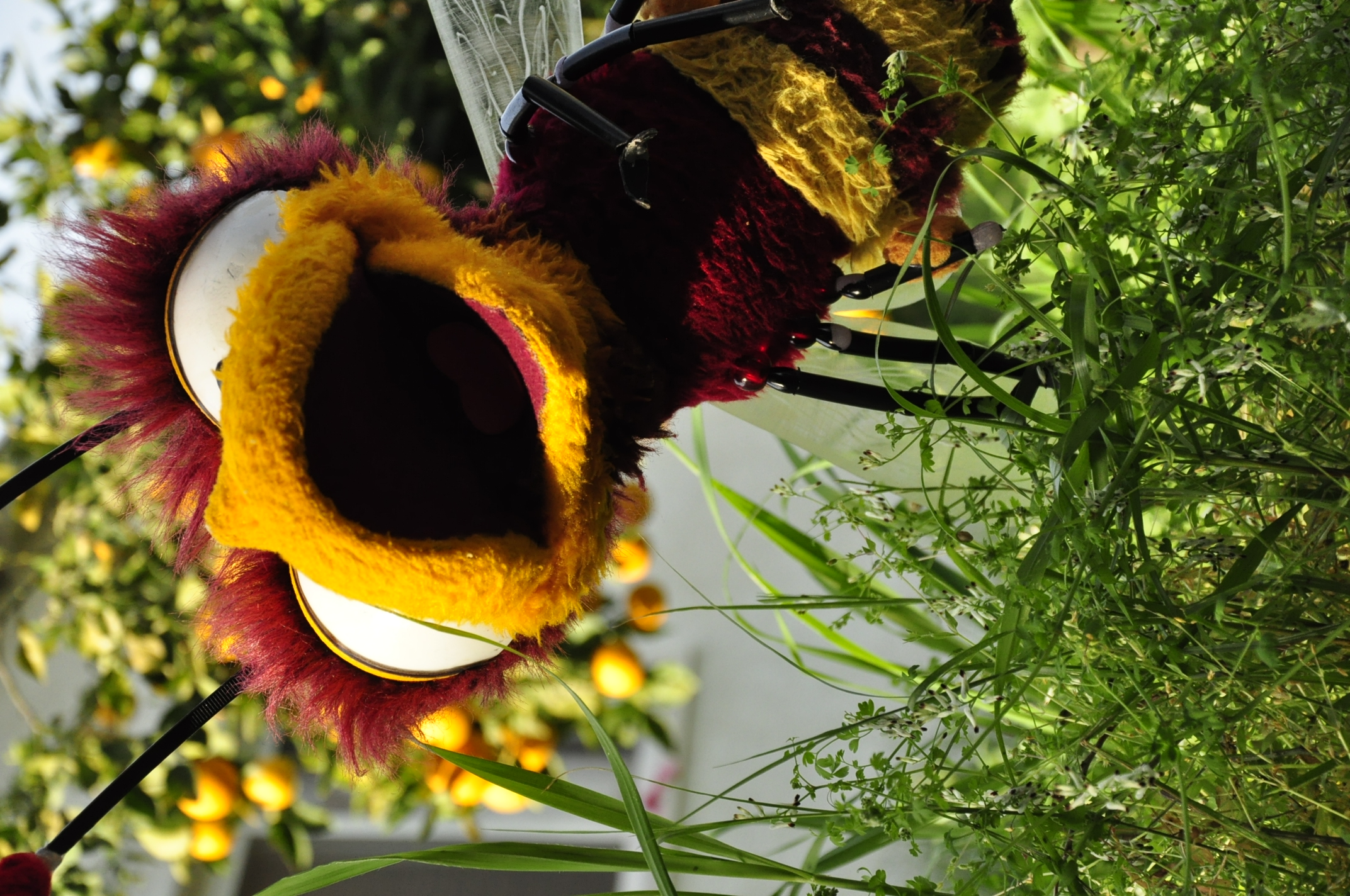 תמונה מהגלריה