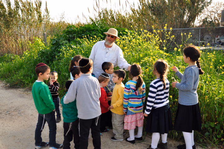 גלריית מאחורי הדבש – תמונה 470