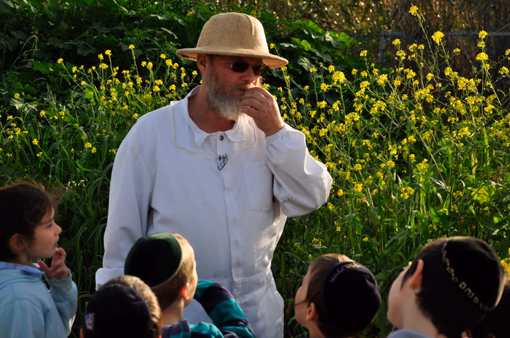 גלריית מאחורי הדבש – תמונה 232