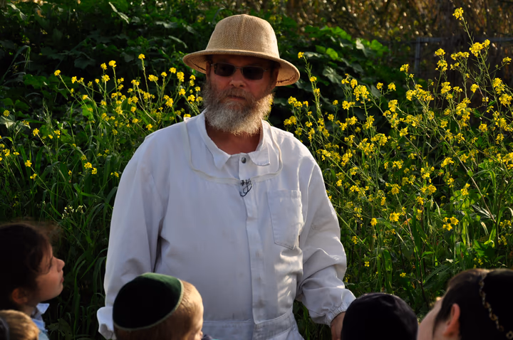 גלריית מאחורי הדבש – תמונה 392