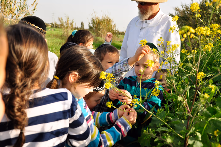 גלריית מאחורי הדבש – תמונה 58