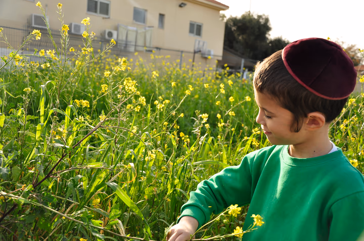 גלריית מאחורי הדבש – תמונה 15