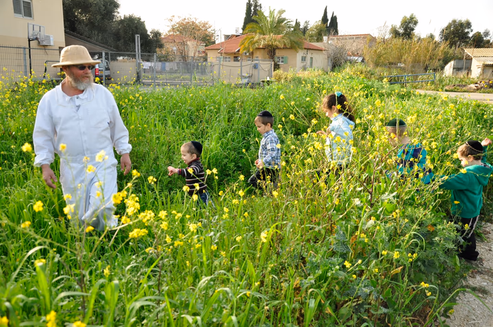 גלריית מאחורי הדבש – תמונה 450