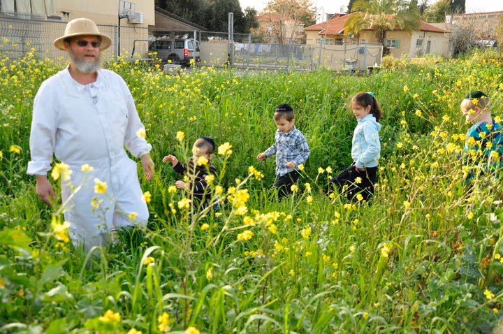 גלריית מאחורי הדבש – תמונה 247