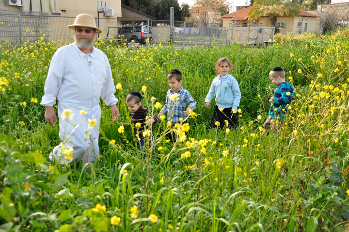 גלריית מאחורי הדבש – תמונה 310