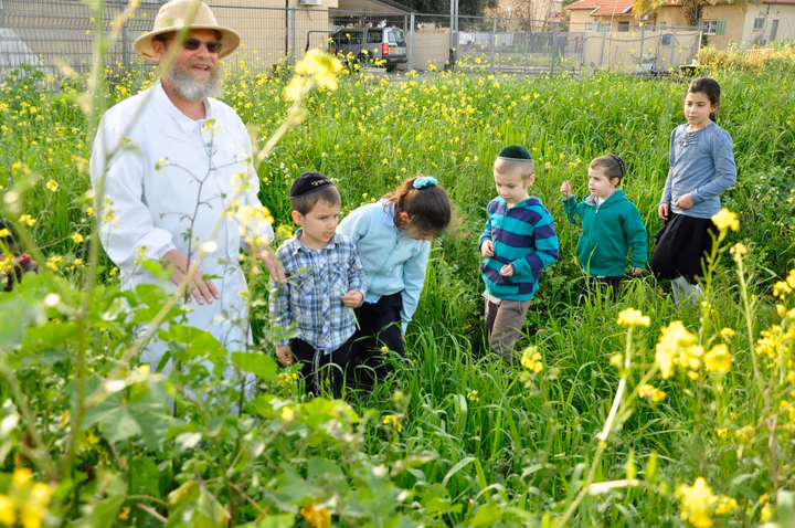 גלריית מאחורי הדבש – תמונה 311