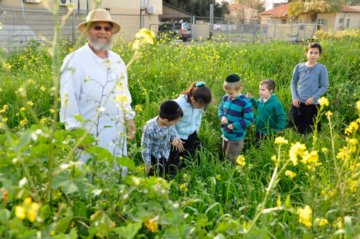 גלריית מאחורי הדבש – תמונה 126