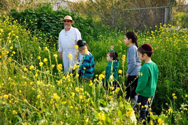 גלריית מאחורי הדבש – תמונה 323