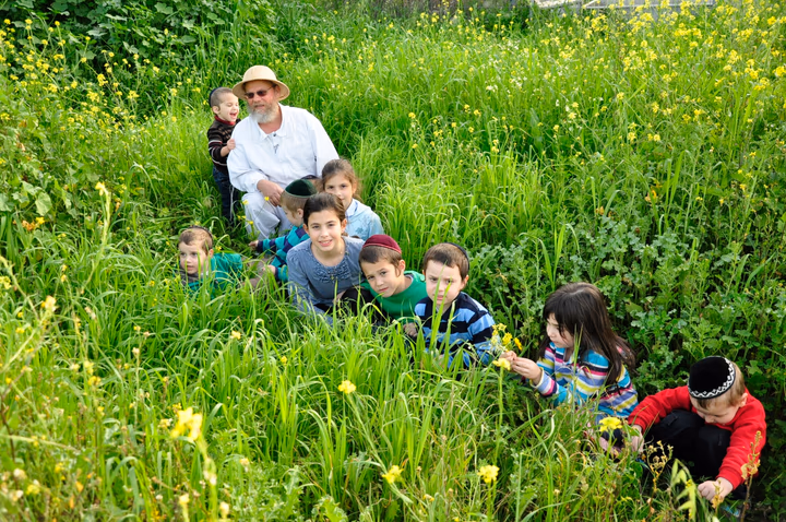 גלריית מאחורי הדבש – תמונה 430