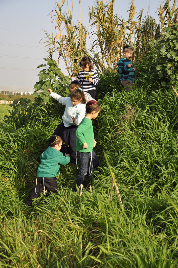 גלריית מאחורי הדבש – תמונה 12