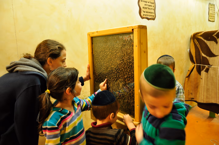 גלריית מאחורי הדבש – תמונה 66