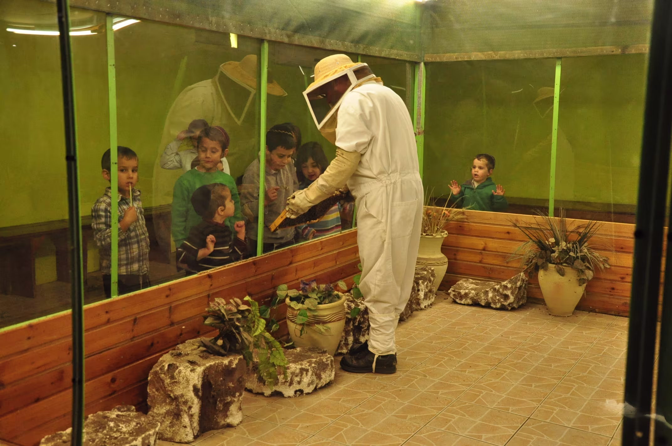 תמונה מהגלריה