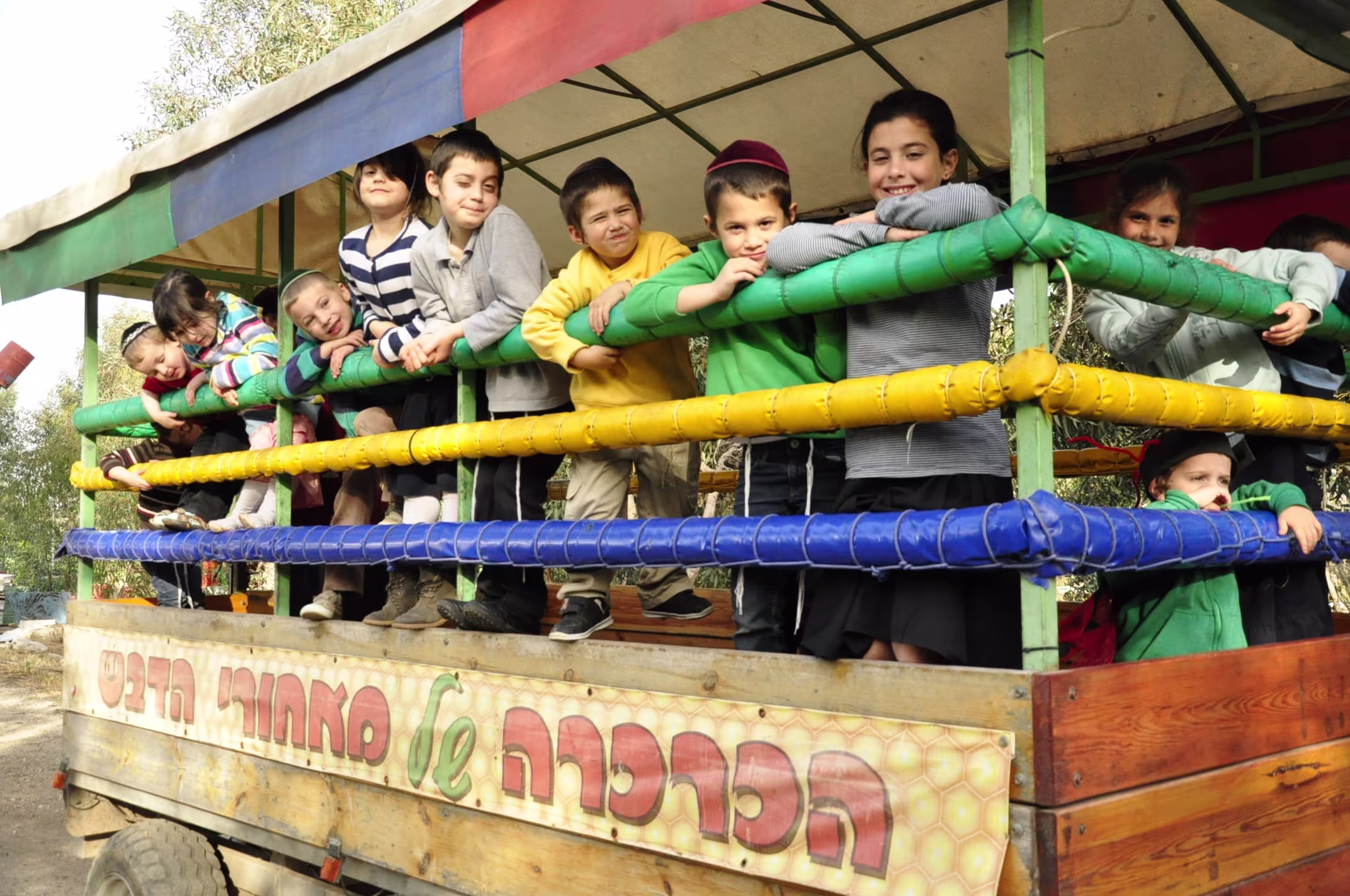 תמונה מהגלריה