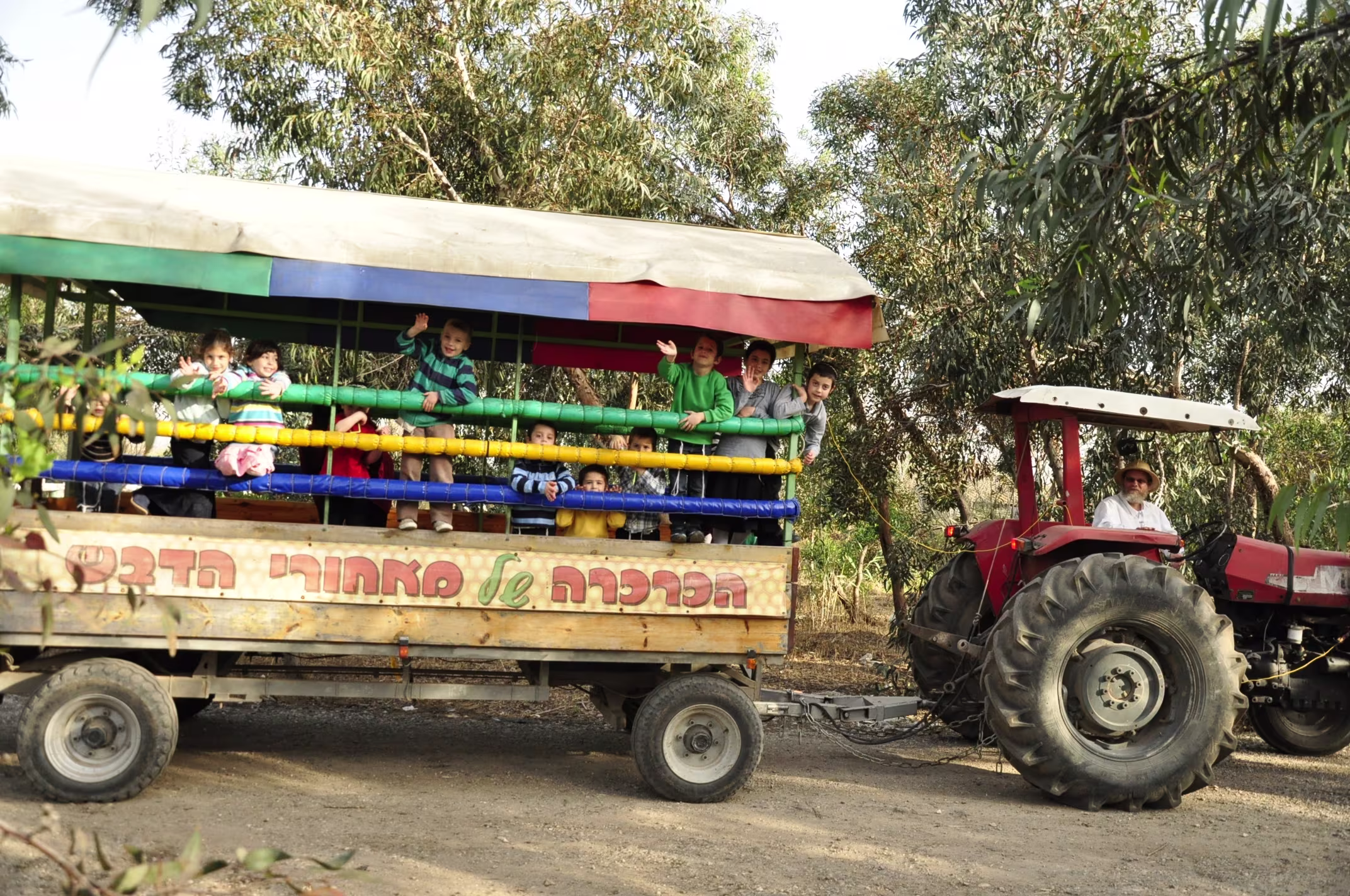 תמונה מהגלריה