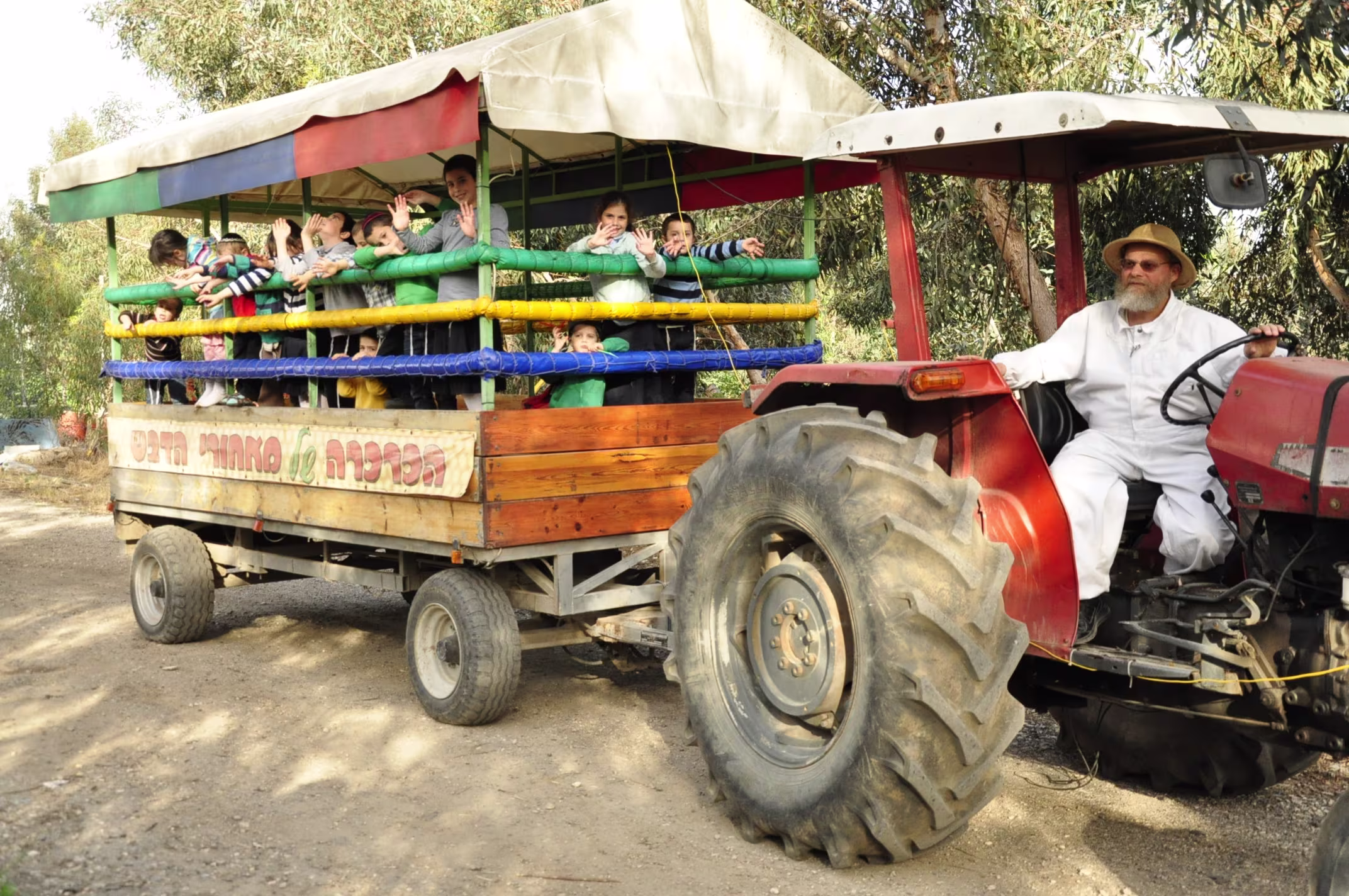 תמונה מהגלריה