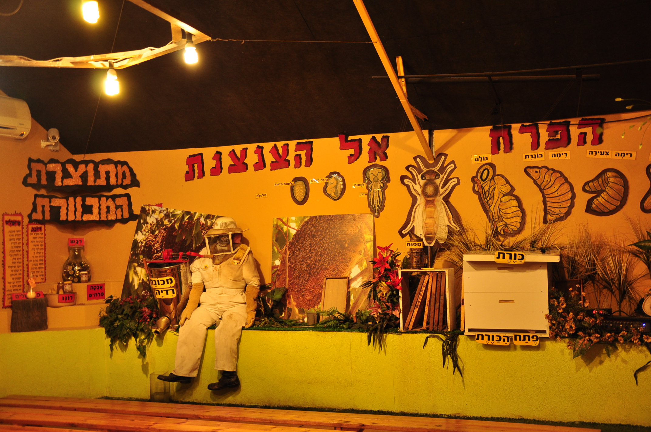 מהפרח אל הצנצנת